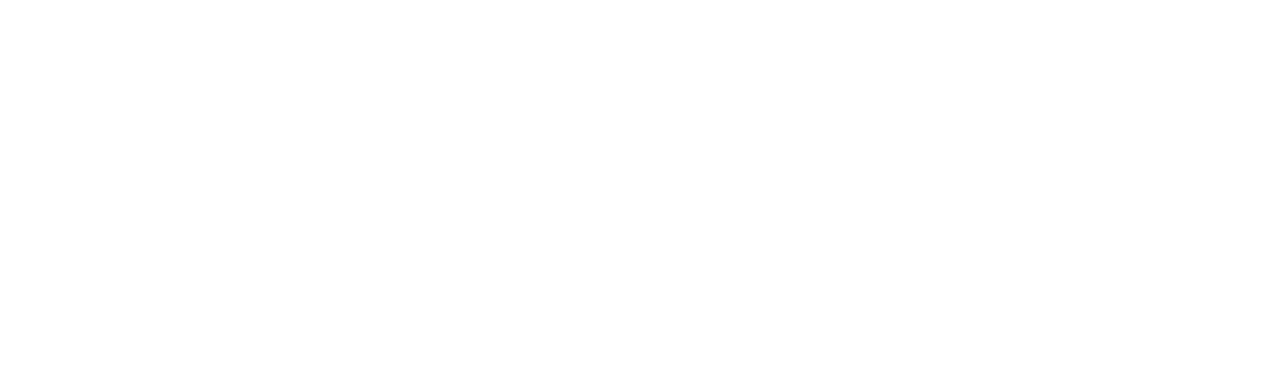 Damen Logo